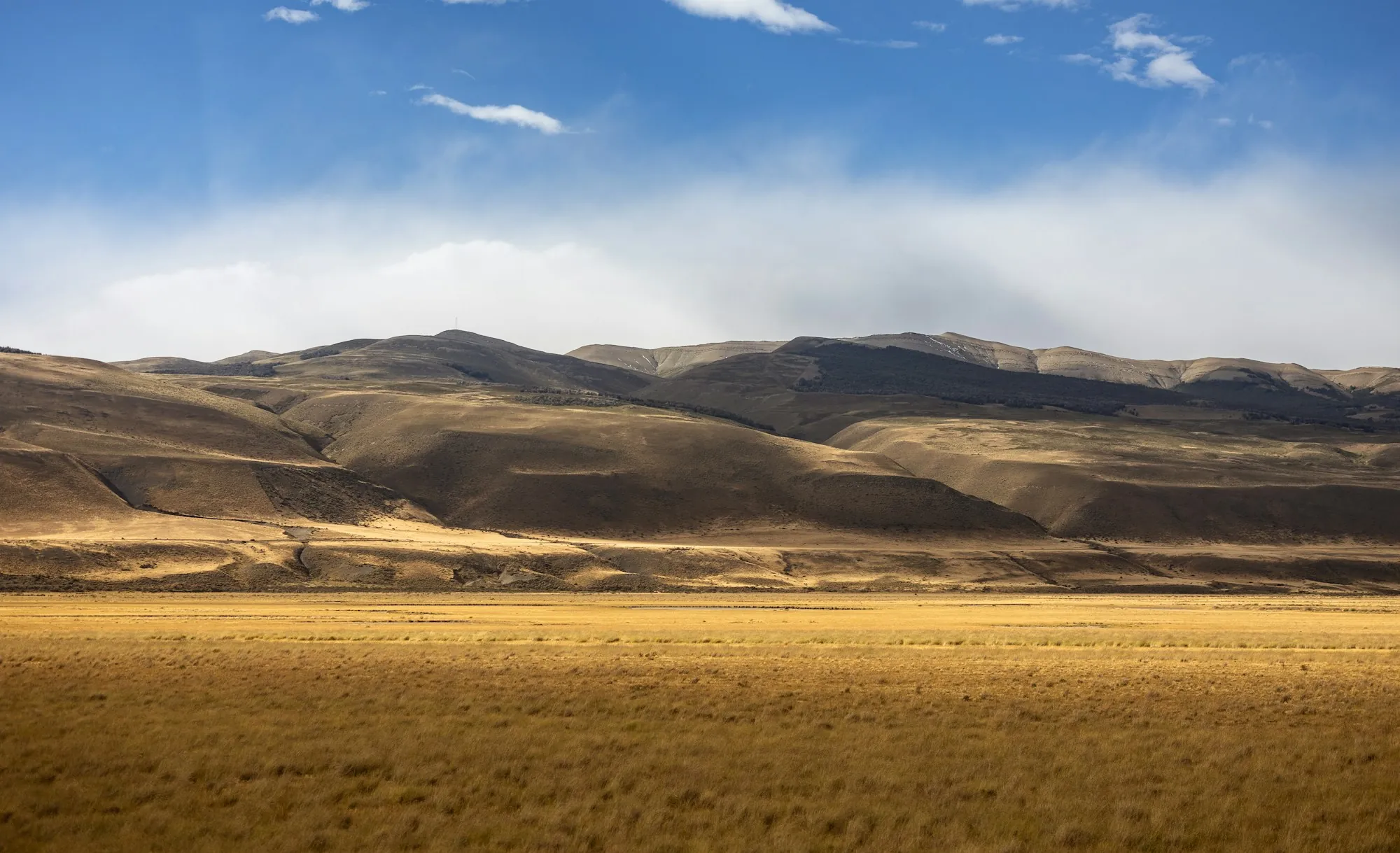 Golden grassland below brown hills